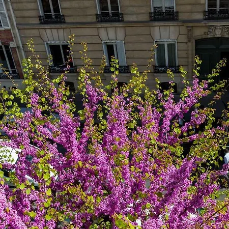 Apartamento Veeve - Auteuil Attraction *